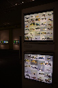 Wasp_exhibition__DSC3411
